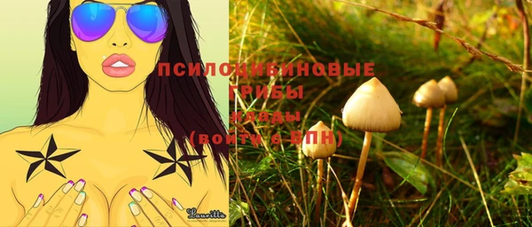 прущие грибы Алагир