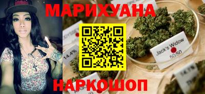 стафф Будённовск