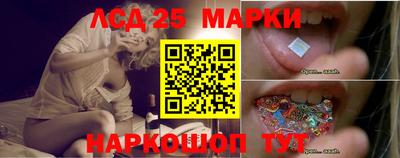 стафф Будённовск