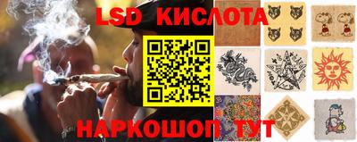 стафф Будённовск