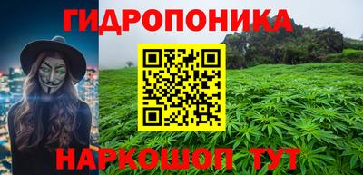 стафф Будённовск