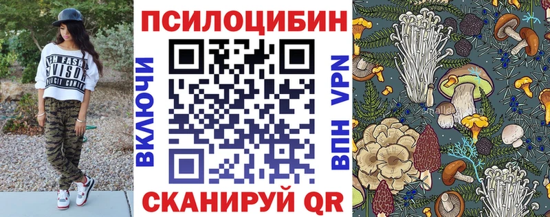 Псилоцибиновые грибы прущие грибы  как найти   Майкоп 