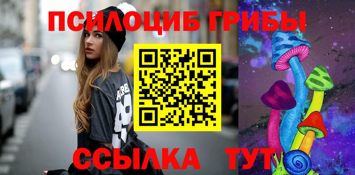 Галлюциногенные грибы GOLDEN TEACHER  Галлюциногенные грибы Psilocybe  Вход с VPN  Майкоп 