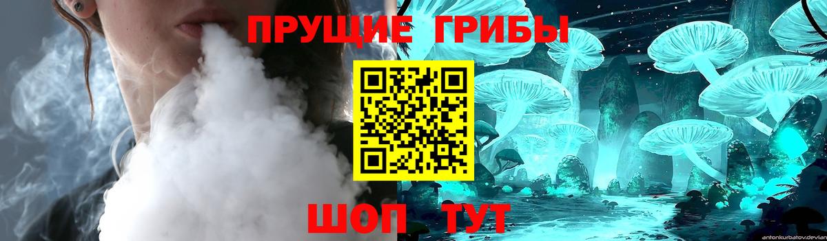 Галлюциногенные грибы Magic Shrooms Майкоп